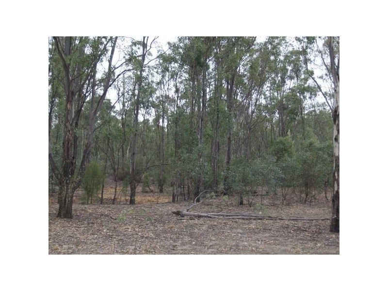 1360 Stewarts Bridge Road, Lower Moira VIC 3639