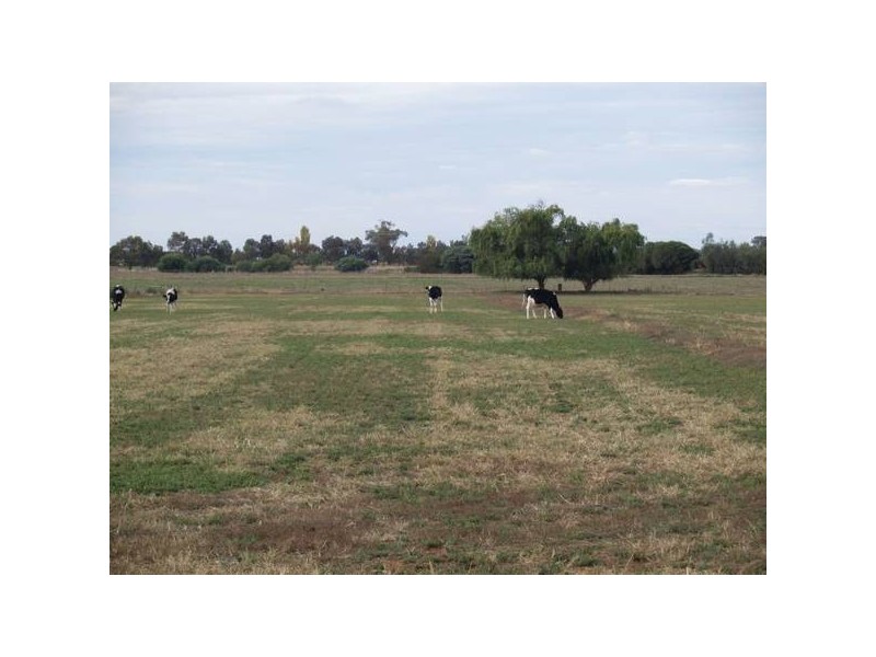 278 Hays Road, Katunga VIC 3640