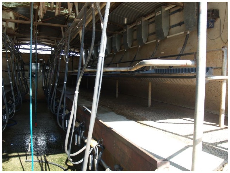 2896 Murray Valley Highway, Yielima VIC 3638