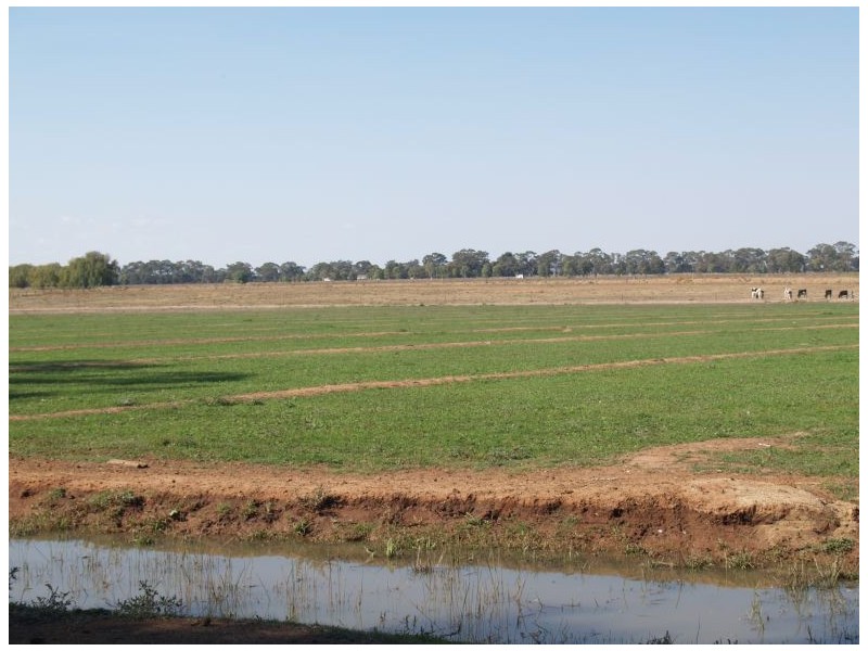 2896 Murray Valley Highway, Yielima VIC 3638