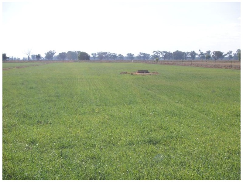 2896 Murray Valley Highway, Yielima VIC 3638