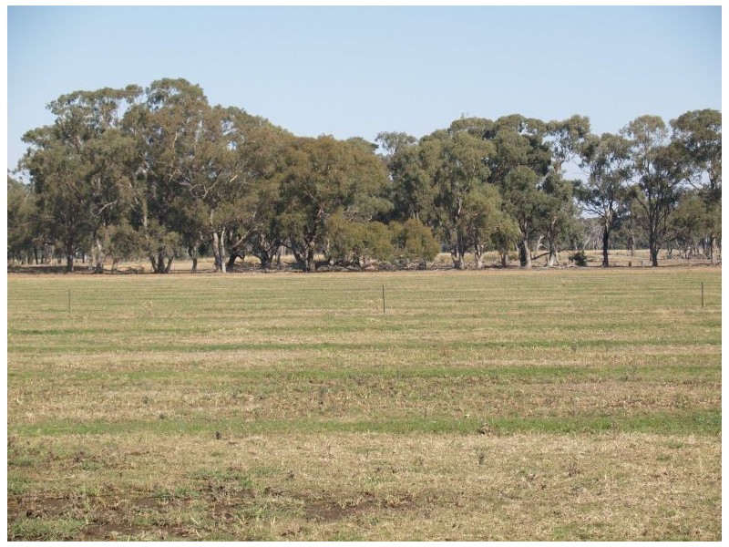 2896 Murray Valley Highway, Yielima VIC 3638