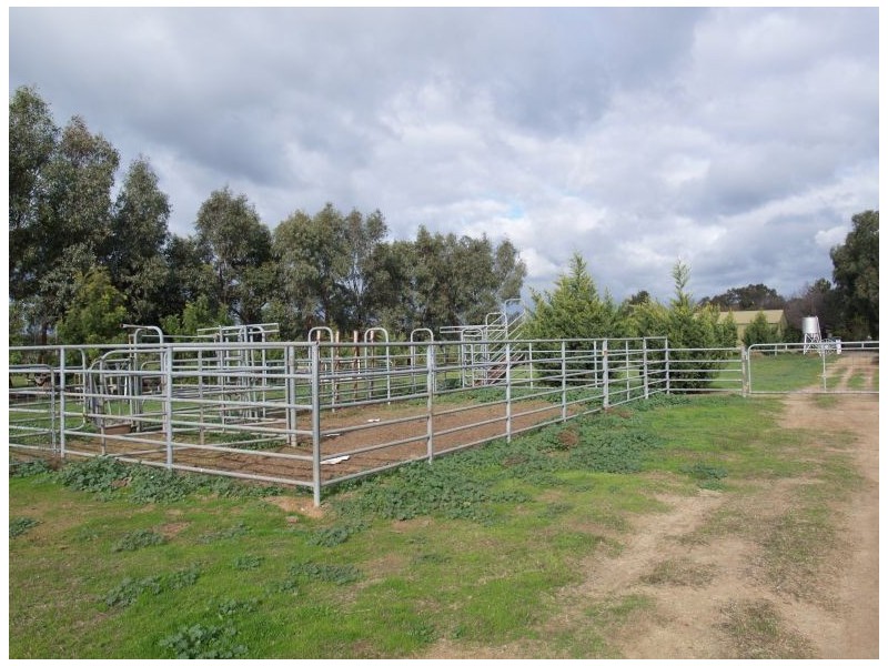 129 Allerts Road, Katunga VIC 3640