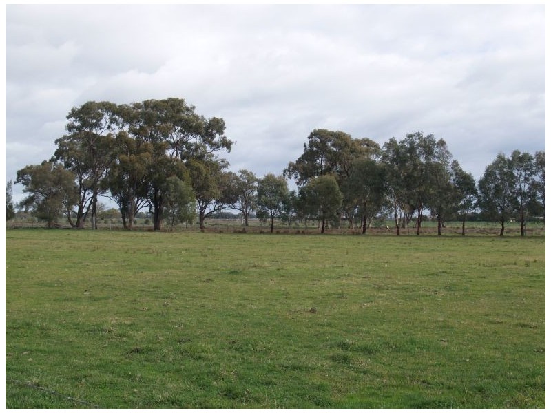 129 Allerts Road, Katunga VIC 3640