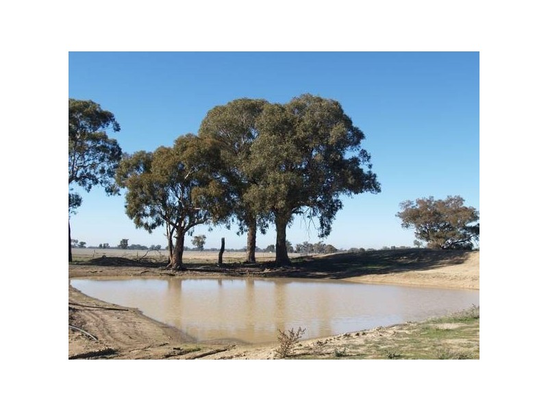 1518 Shepparton-Barmah Road, Nathalia VIC 3638