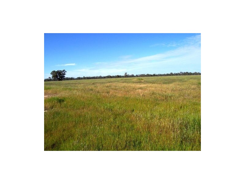 1518 Shepparton-Barmah Road, Nathalia VIC 3638