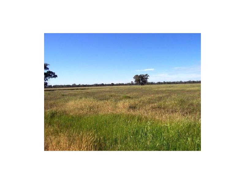 1518 Shepparton-Barmah Road, Nathalia VIC 3638