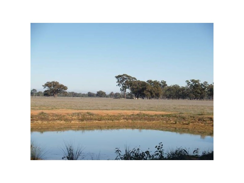 1518 Shepparton-Barmah Road, Nathalia VIC 3638