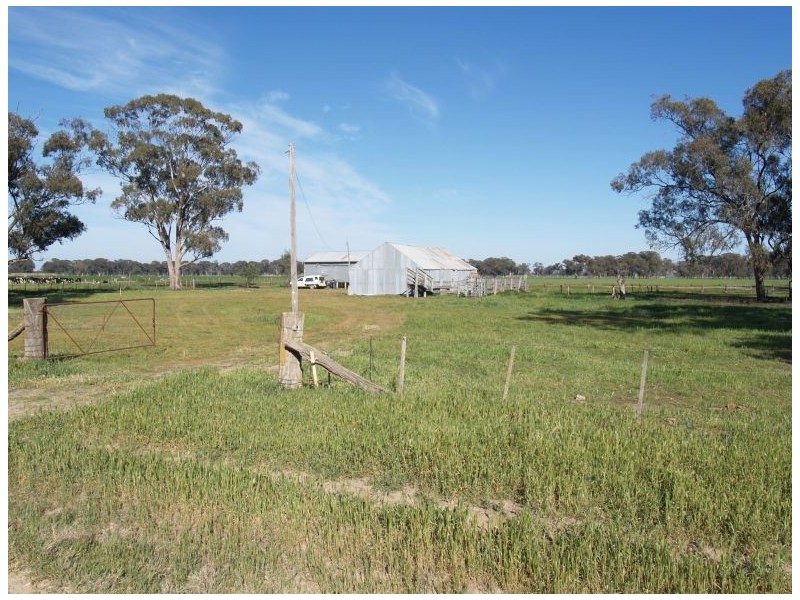 678 Hendys Road, Numurkah VIC 3636