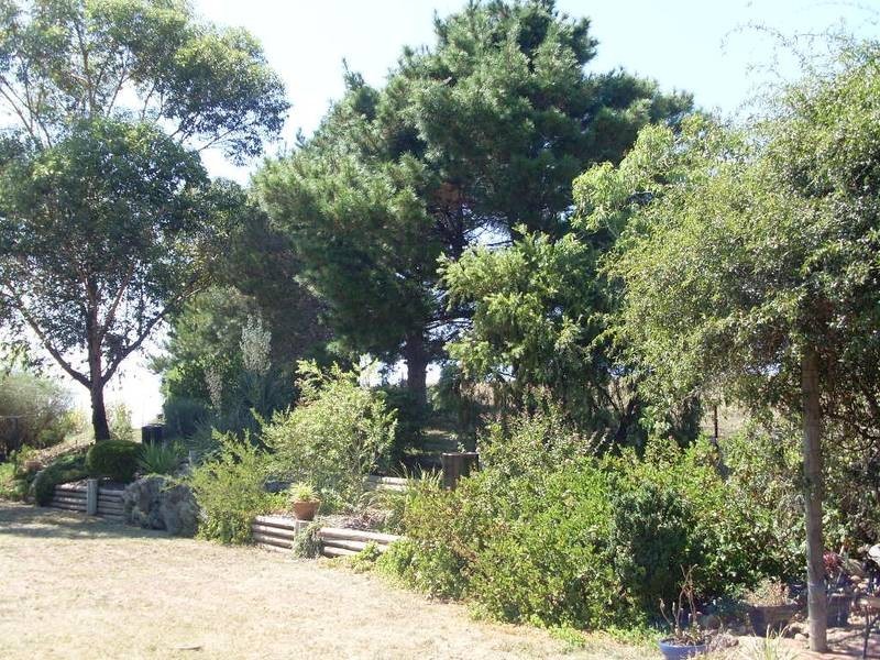 Tamworth NSW 2340