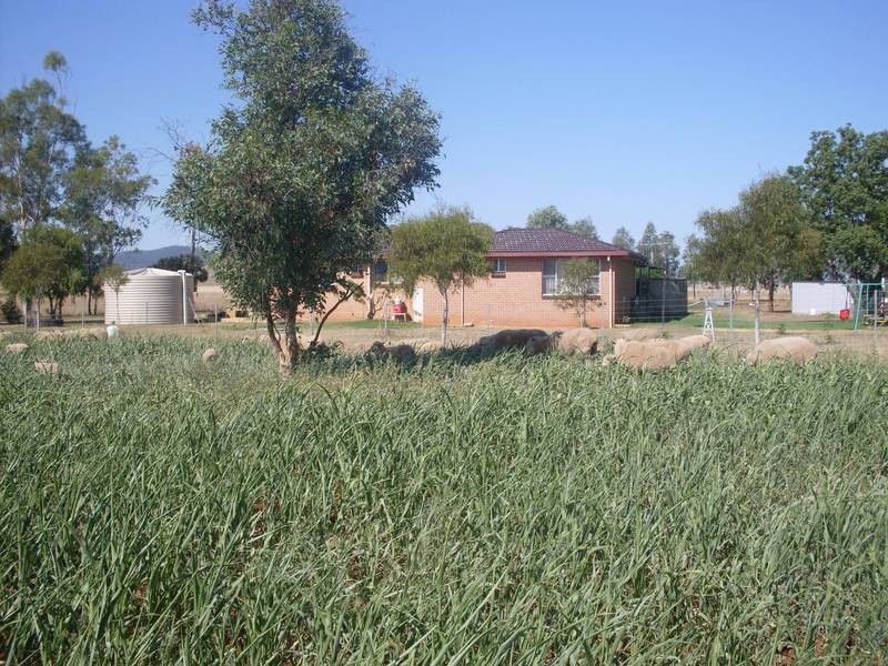 1-9 GRANT ST, Tamworth NSW 2340