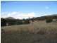 3 Armidale Street, Currabubula, Tamworth NSW 2340