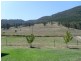 1170 Upper Moore Creek Rd, Tamworth NSW 2340