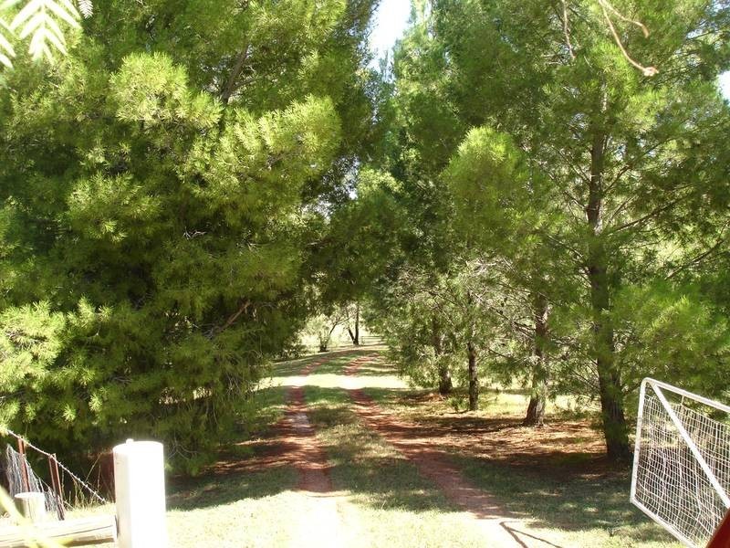 Tamworth NSW 2340