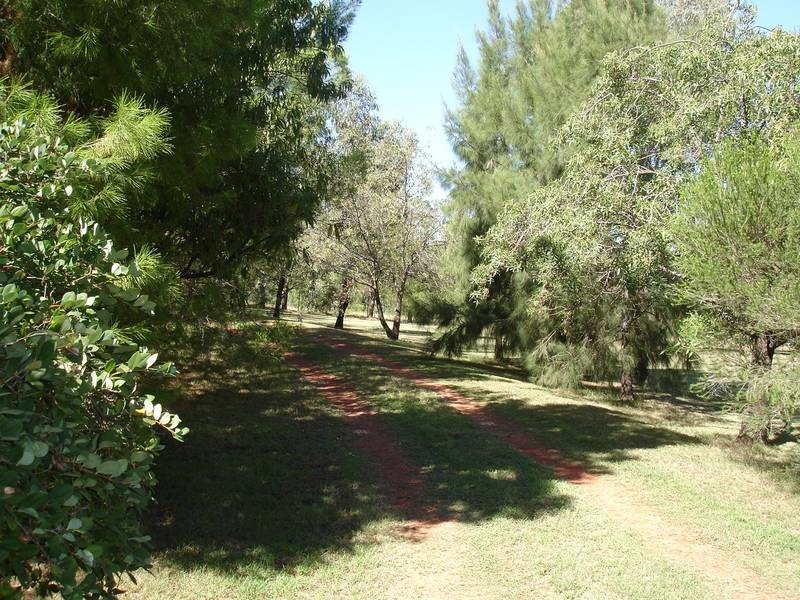 Tamworth NSW 2340