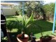 14 Giles Place, Tamworth NSW 2340