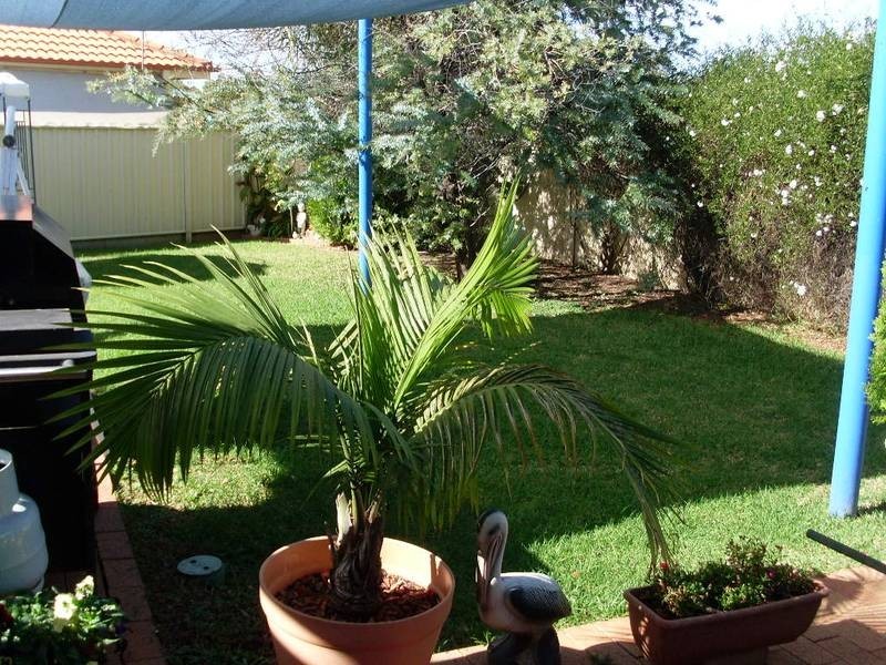 14 Giles Place, Tamworth NSW 2340