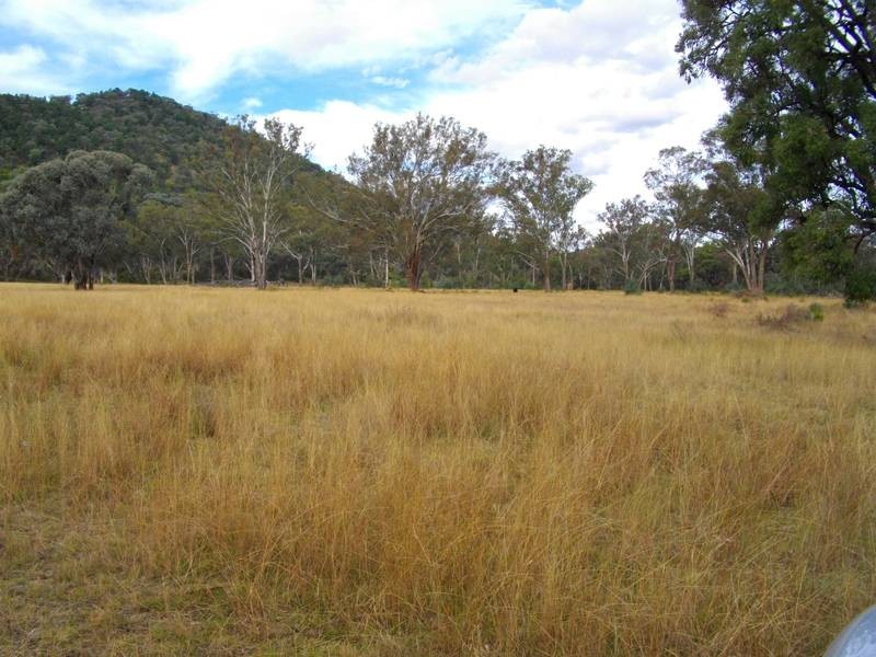 3703 Werris Creek Rd, Tamworth NSW 2340