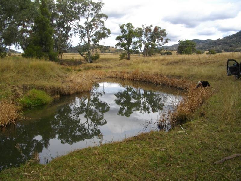 3703 Werris Creek Rd, Tamworth NSW 2340