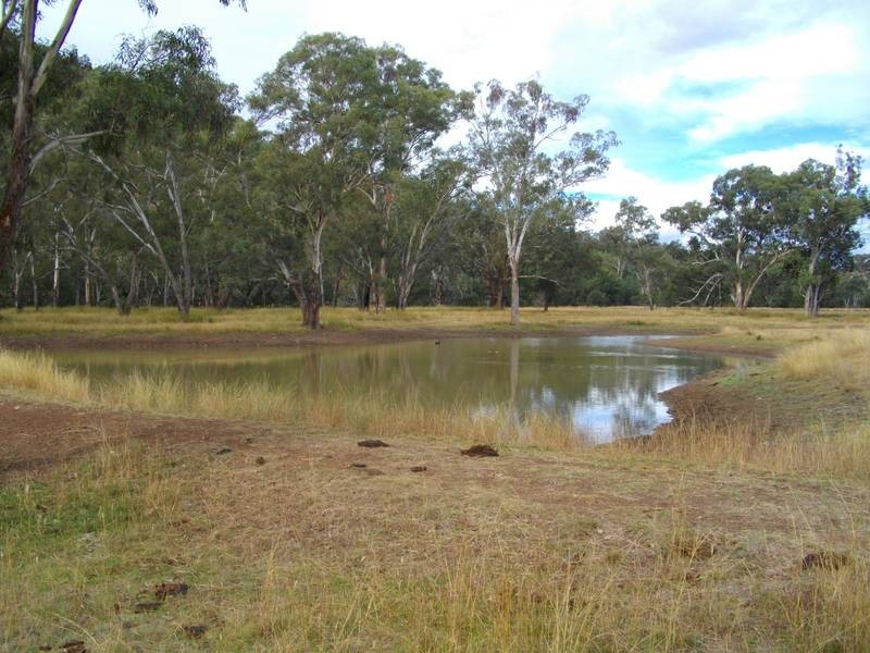 3703 Werris Creek Rd, Tamworth NSW 2340