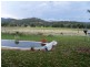 Nemingha NSW 2340