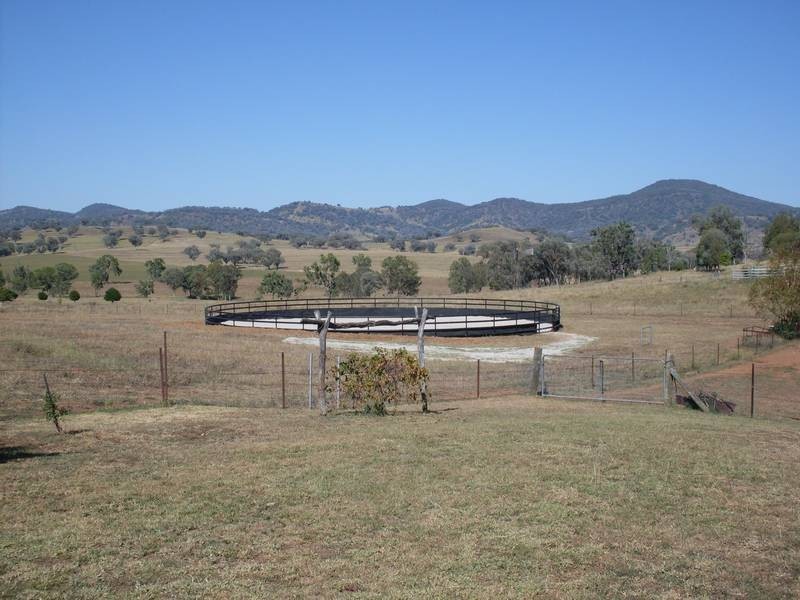 248 Garoo, Tamworth NSW 2340