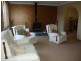 19 LEMON GUMS, Tamworth NSW 2340