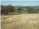 Quirindi NSW 2343