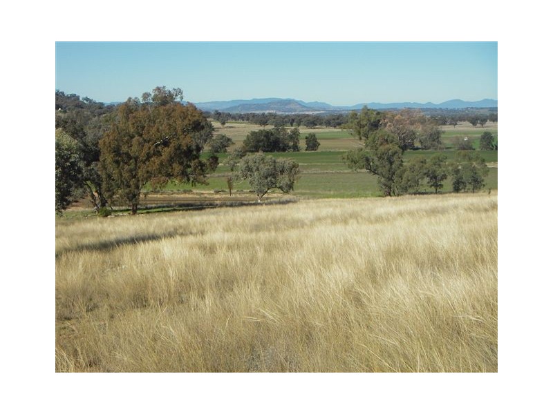 Quirindi NSW 2343