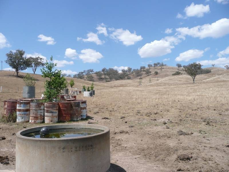 133 Jump Up Rd, Barraba NSW 2347