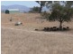 133 Jump Up Rd, Barraba NSW 2347
