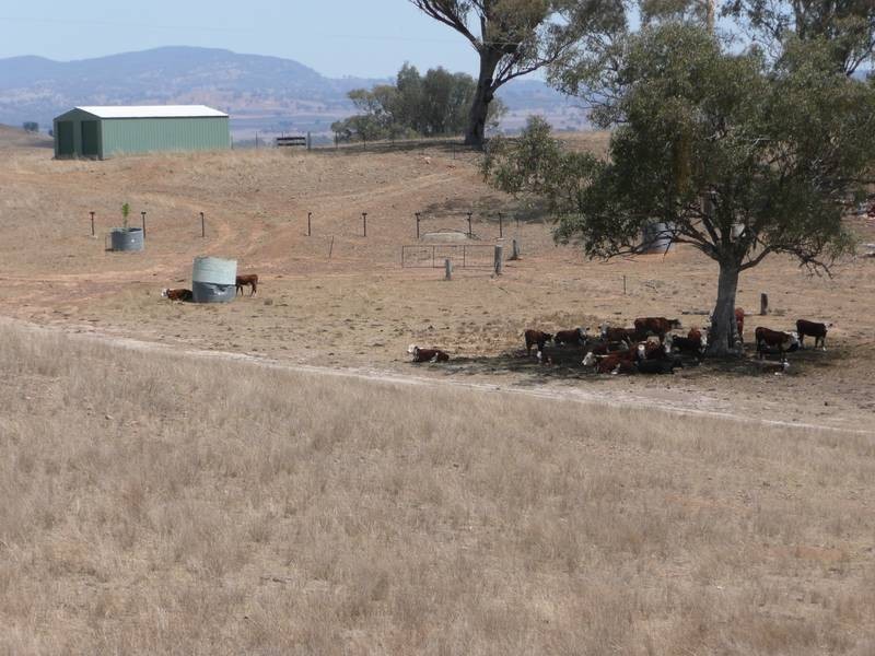 133 Jump Up Rd, Barraba NSW 2347