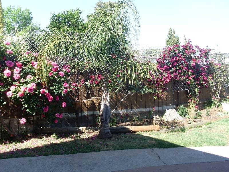 14 John Street, Tamworth NSW 2340