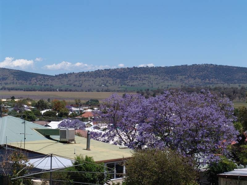 26 Poole Street, Werris Creek NSW 2341