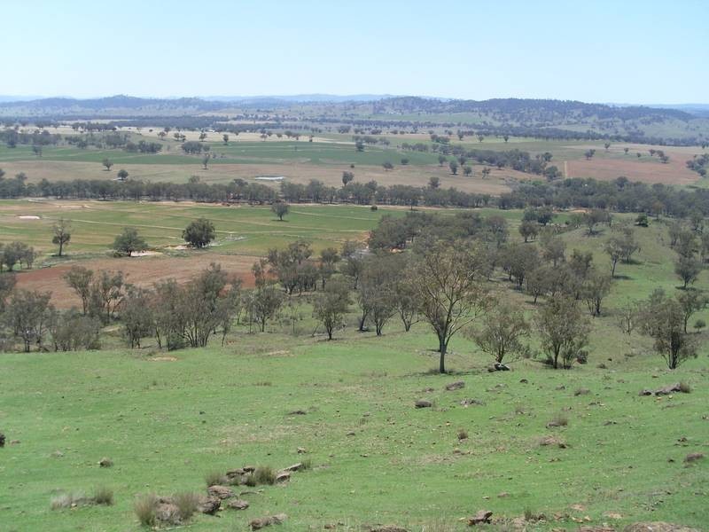 1286 Bennets Lane, Manilla NSW 2346