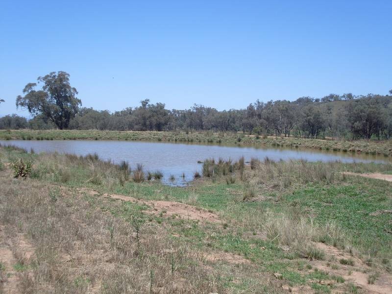 1286 Bennets Lane, Manilla NSW 2346