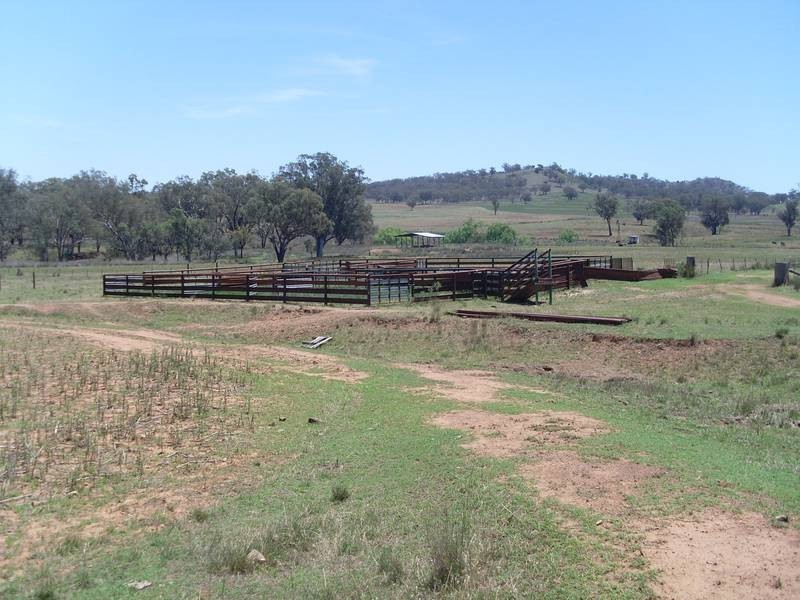 1286 Bennets Lane, Manilla NSW 2346