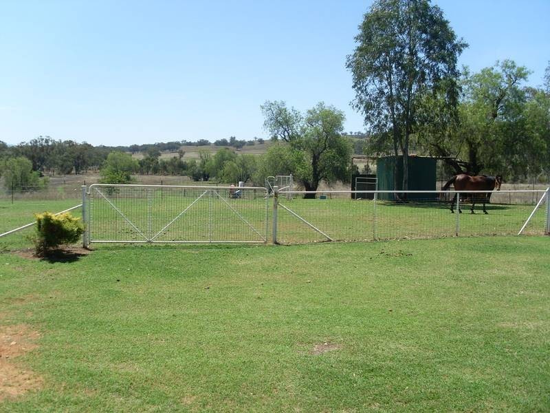 Attunga NSW 2345