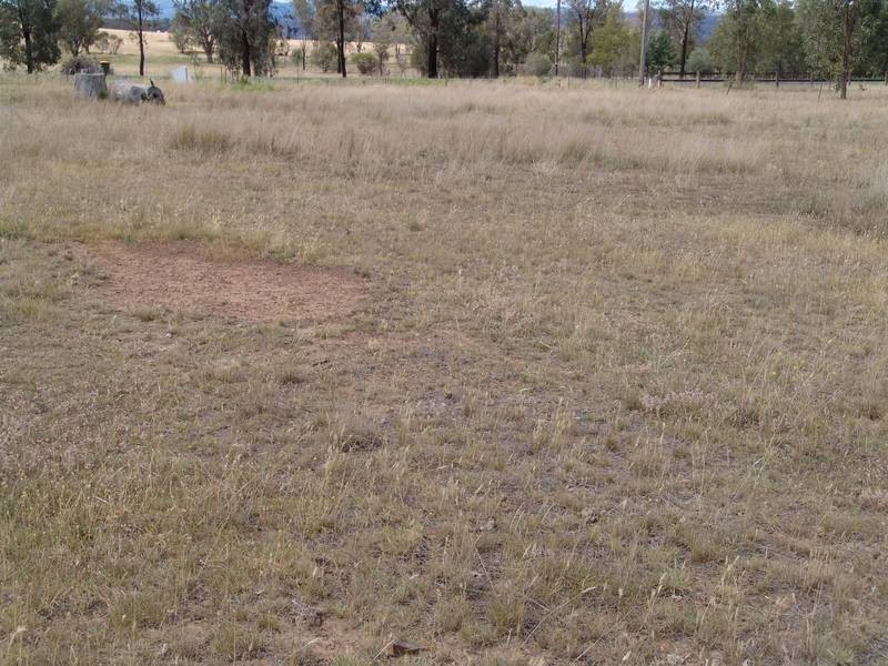 25 Heiligmans Lane, Tamworth NSW 2340