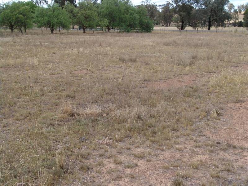 25 Heiligmans Lane, Tamworth NSW 2340