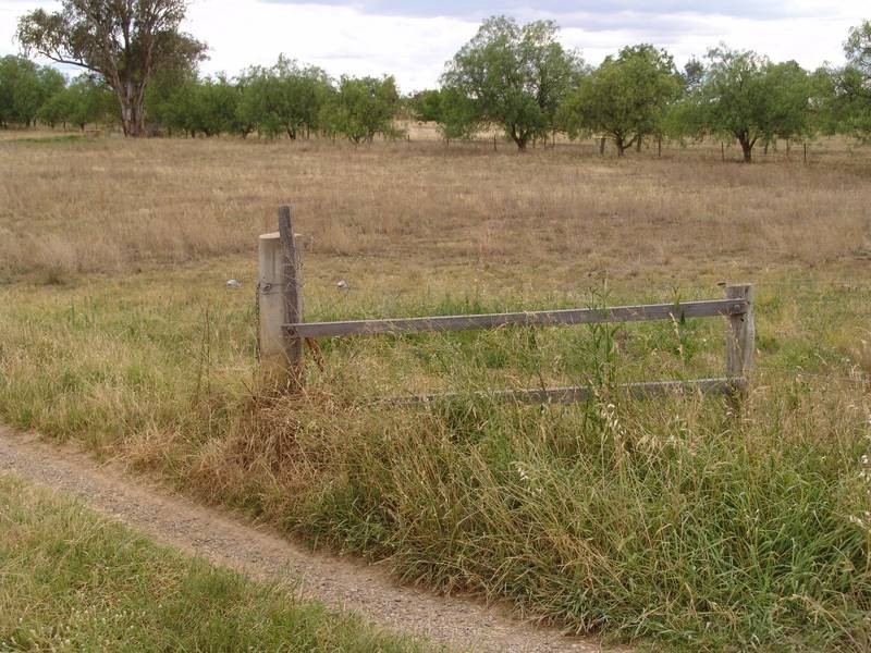 25 Heiligmans Lane, Tamworth NSW 2340