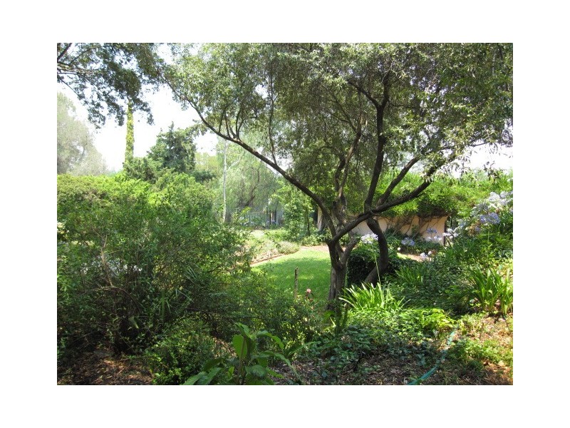 53 Murray, Tamworth NSW 2340