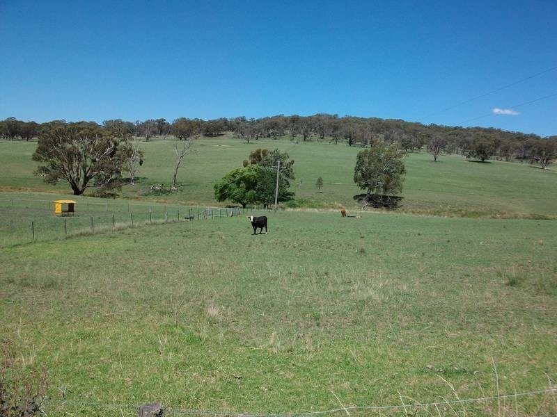 Tamworth NSW 2340