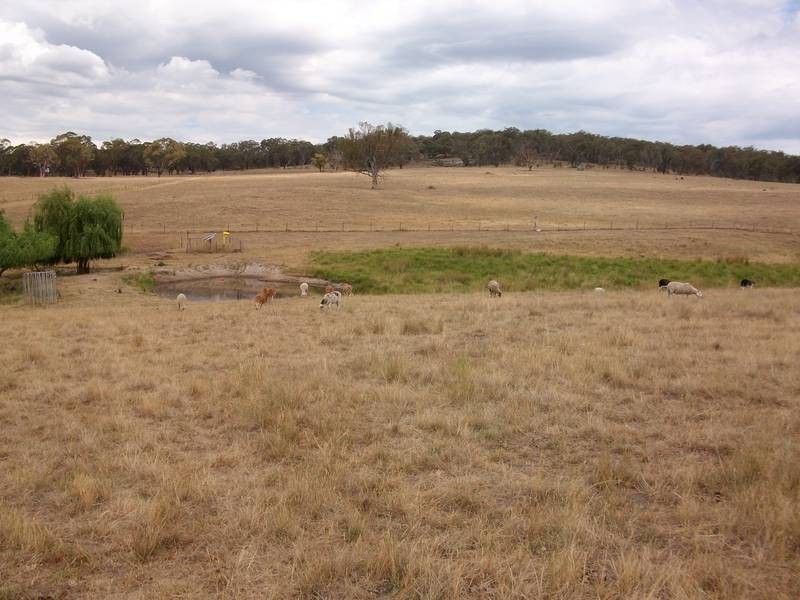 Tamworth NSW 2340
