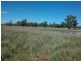 Tamworth NSW 2340