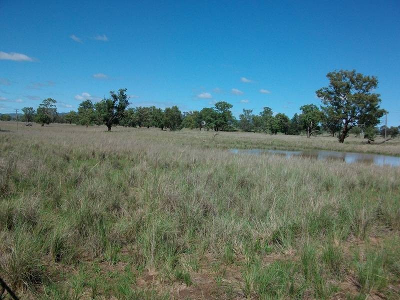 Tamworth NSW 2340