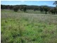 Tamworth NSW 2340