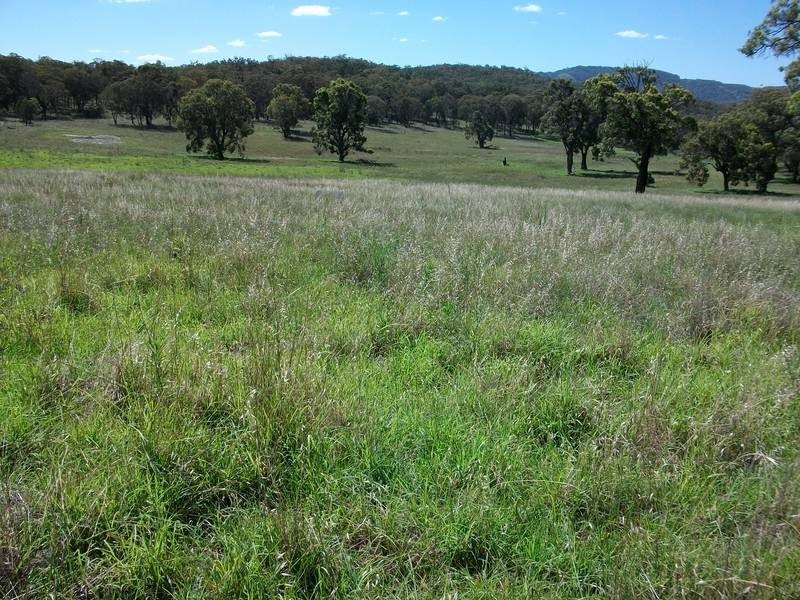Tamworth NSW 2340