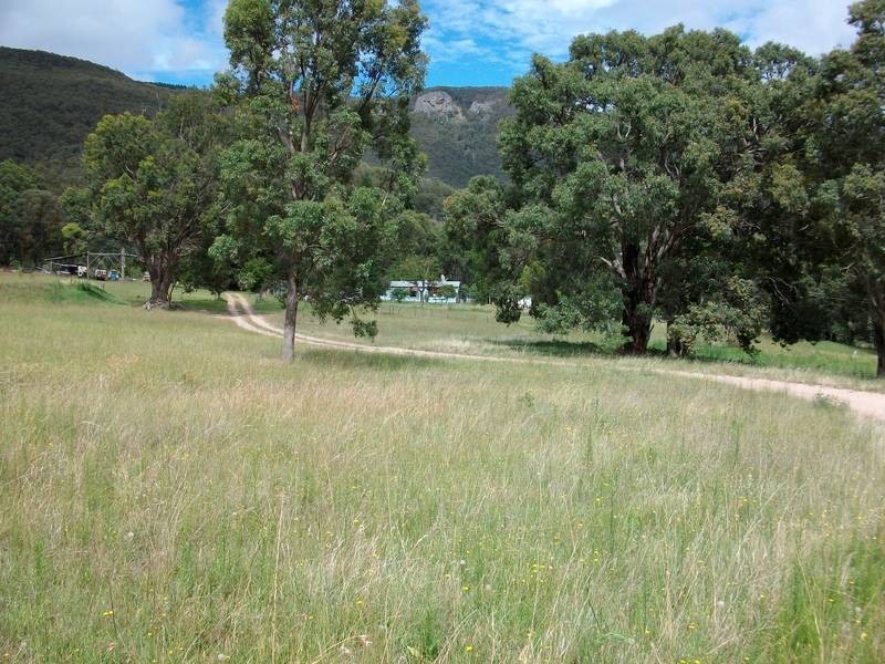 1532 Duncans Creek Rd, Woolomin NSW 2340