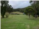 1532 Duncans Creek Rd, Woolomin NSW 2340